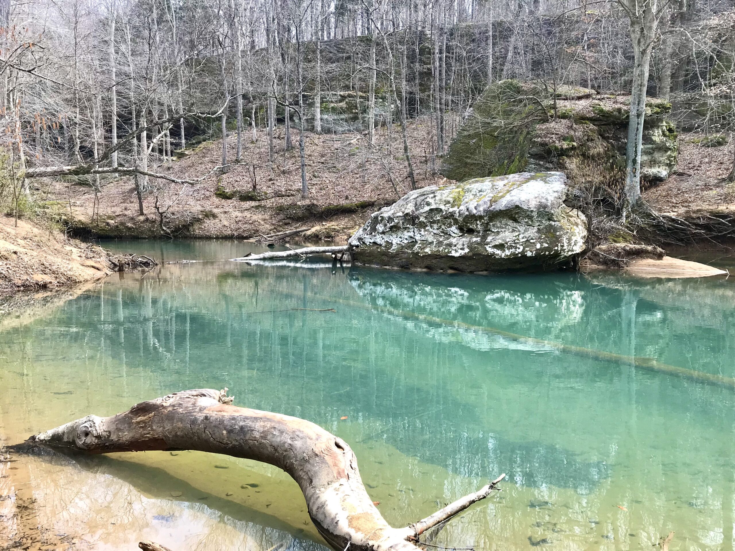 Peaceful forest creek in Illinois — Lumara Integrative Health. Online therapy in Illinois.