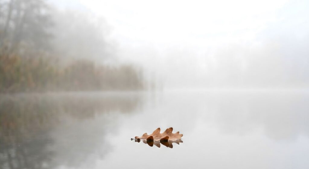 Calm still water at dusk representing peace and grounding in health anxiety therapy