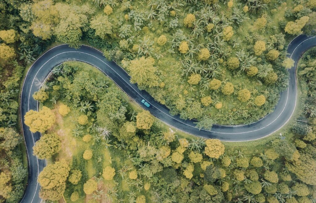 ADHD therapy chicago. Winding river path through lush green forest canopy viewed from above.