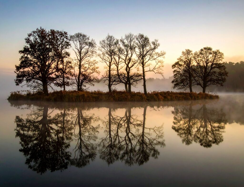 Misty mountain lake at dawn representing stillness and grounding in anxiety therapy