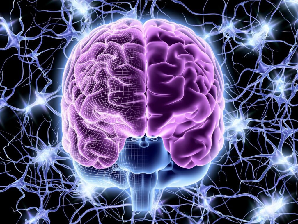 Psychological testing Evanston. Glowing purple brain with radiating neural network connections on a dark background.
